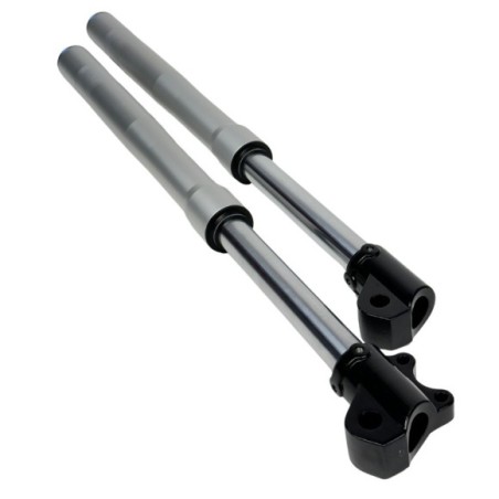 JUEGO HORQUILLA INVERTIDA 48/48/770mm PIT BIKE RFZ