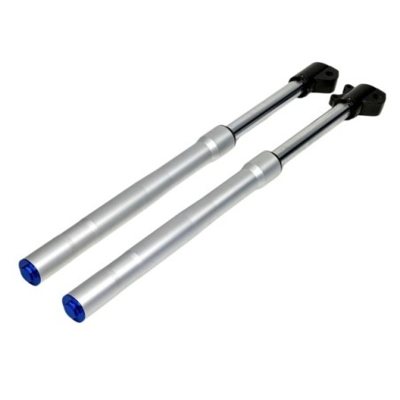 JUEGO HORQUILLA INVERTIDA 48/48/770mm PIT BIKE RFZ