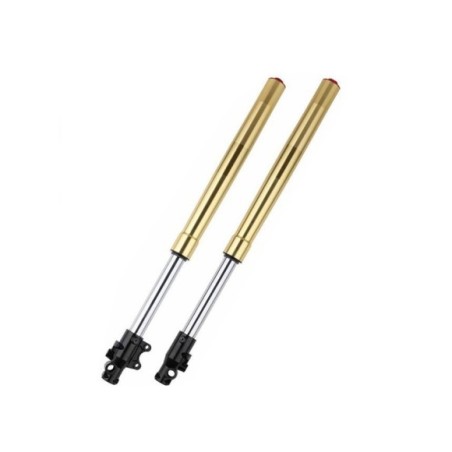 Juego horquilla invertida pit bike 590mm - Roanracing.com