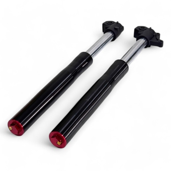 Juego horquilla invertida 45-48-580 mm Pit bike Roanracing.com