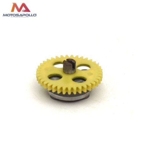 Bomba de agua 250cc pit bike Roanracing.com