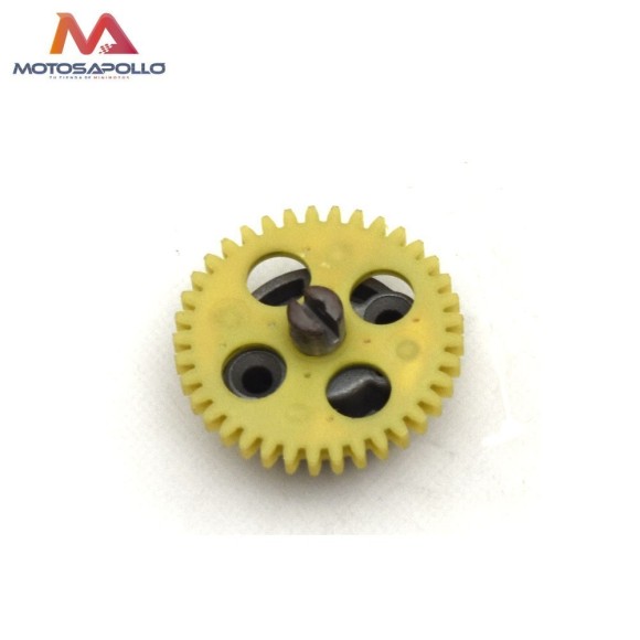 Bomba de agua 250cc pit bike Roanracing.com