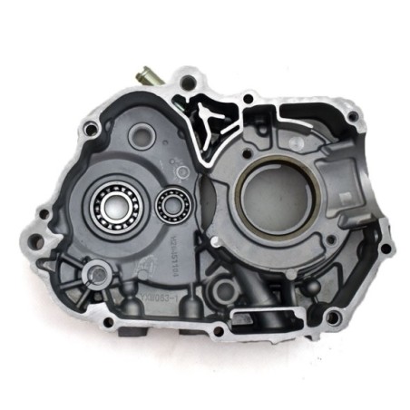 Carter derecho 140cc Pit bike Roanracing.com