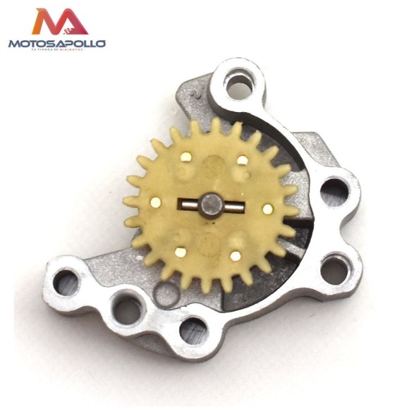 Bomba de aceite pit bike Roanracing.com