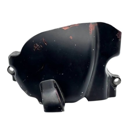 Tapa protector piñon para motor ZONGSHEN - Roanracing.com