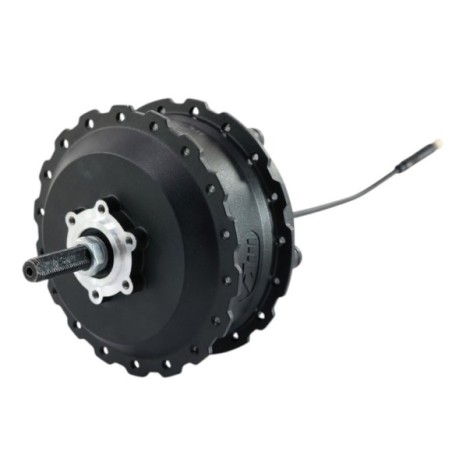 Motor eléctrico 750W 36V BICI EVO HUB BRUSHLES -Roanracing.com