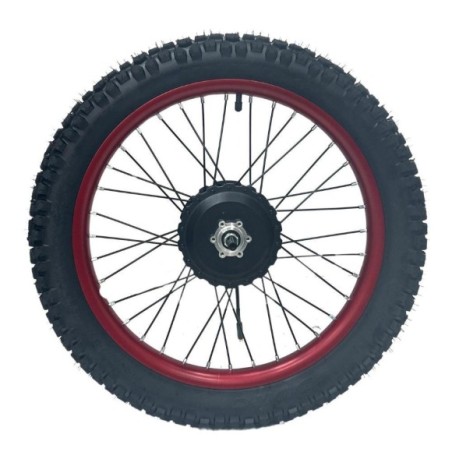 Motor eléctrico Brushles 36v 750w con neumático 20"-Roanracing.com