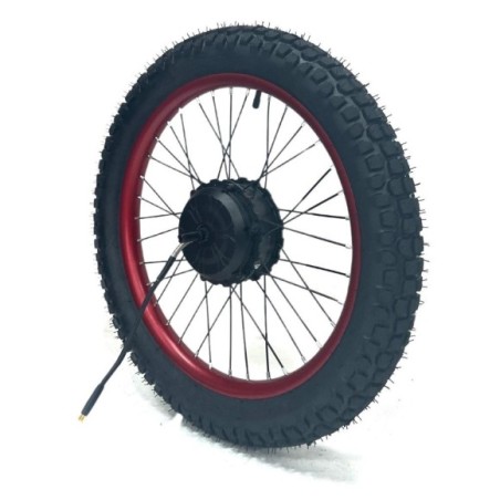 Motor eléctrico Brushles 36v 750w con neumático 20"-Roanracing.com