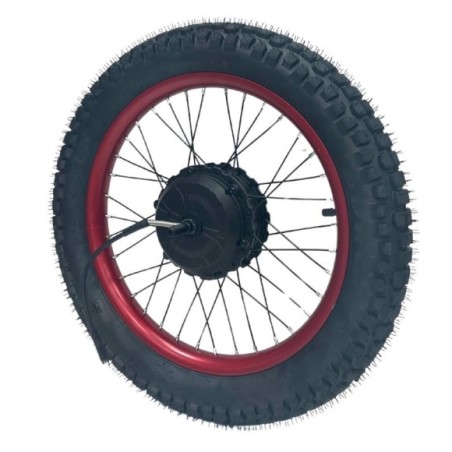 Motor eléctrico 36V 500W Brushles con neumático-Roanracing.com