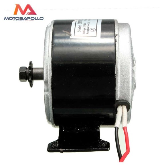 Motor electrico 250W 24V - Roanracing.com