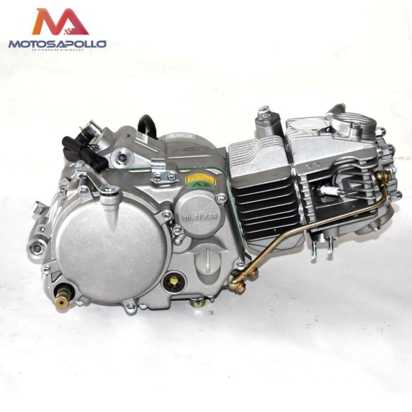 Motor 160 YX - Roanracing.com