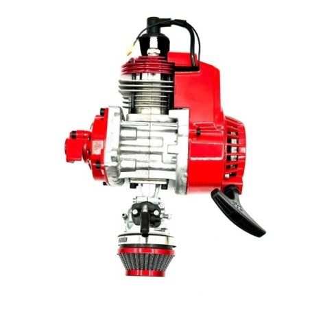 Motor 49cc competicion minicross - Roanracing.com