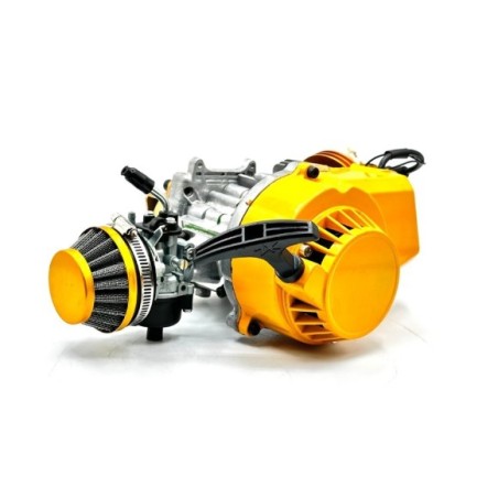 Motor 49cc competicion minicross - Roanracing.com