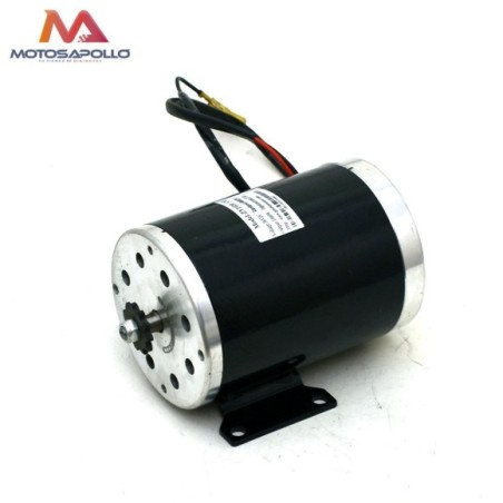 Motor eléctrico 36V 1000W con pletina Roanracing.com