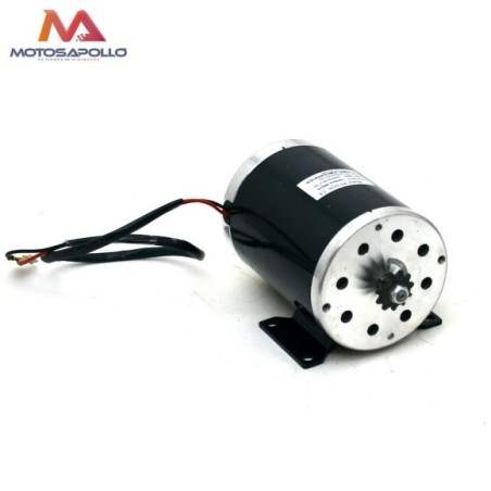 Motor eléctrico 36V 1000W con pletina Roanracing.com