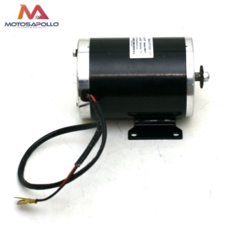 Motor eléctrico 36V 1000W con pletina Roanracing.com