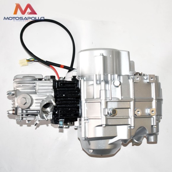 Motor quad 124CC TZH automático