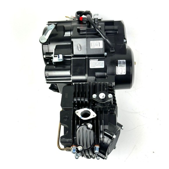 Motor 155cc pit bike Zongshen - Roanracing.com