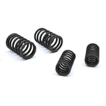Kit muelles de válvulas pit bike 50cc - 125cc - Roanracing.com