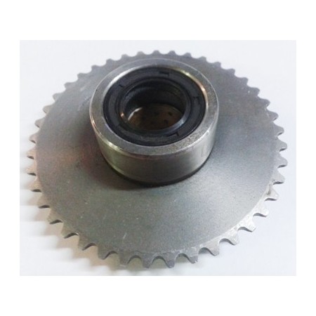 Piñon volante magnético Pit bike Roanracing.com