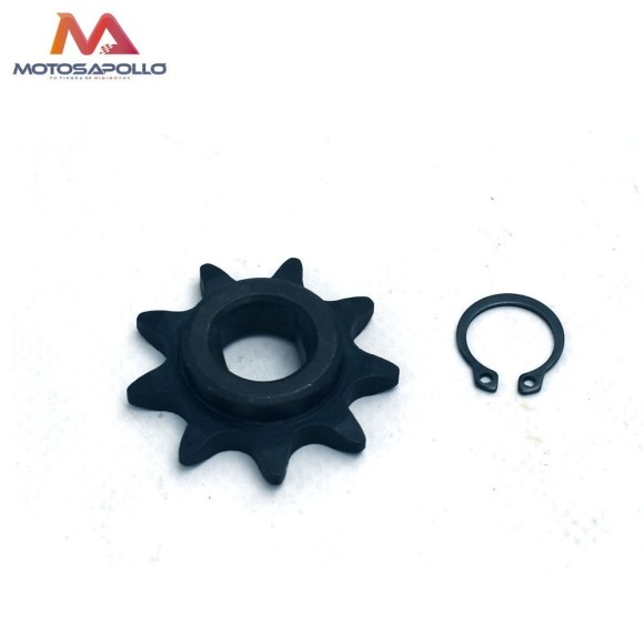 Piñon de salida 12 mm pit bike