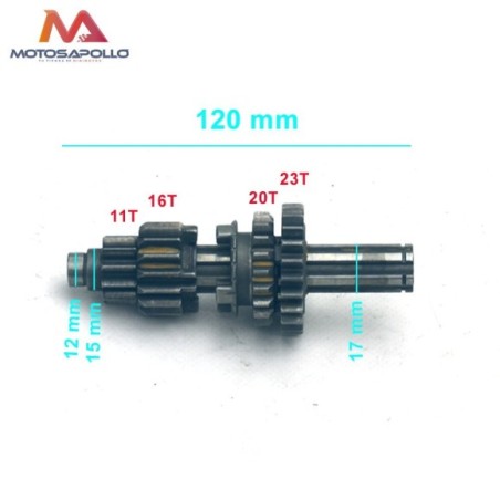 Kit piñon caja cambio primario pit bike-Roanracing.com