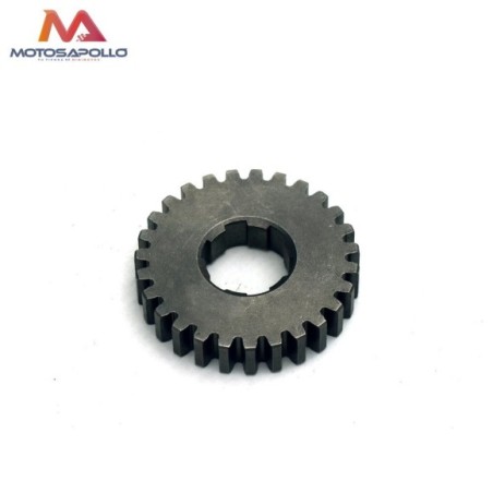 Piñon caja cambio secundario 27T 20mm Pit bike - Roanracing.com