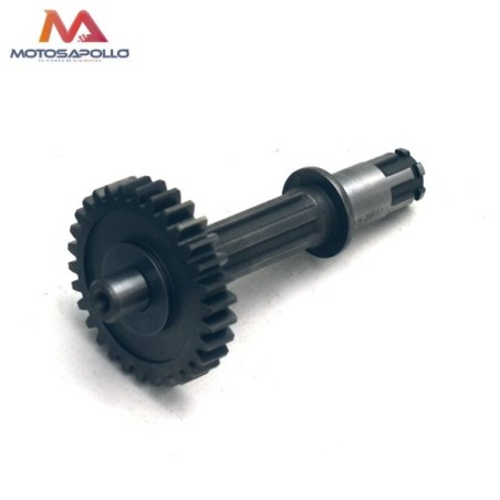 Kit piñon caja de cambio automático pit bike - Roanracing.com