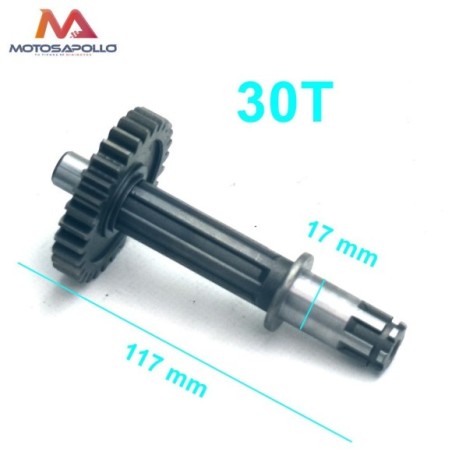 Kit piñon caja de cambio automático pit bike - Roanracing.com