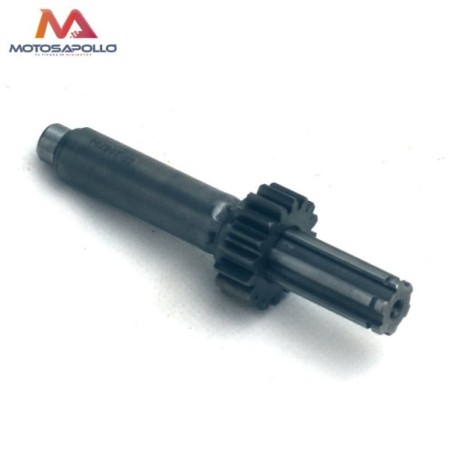 Kit piñon caja de cambio automático motocross-Roanracing.com