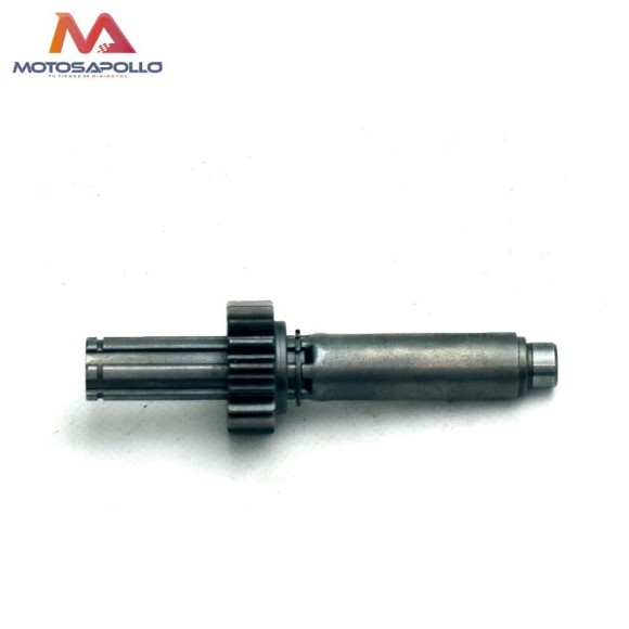 Kit piñon caja de cambio automático motocross-Roanracing.com