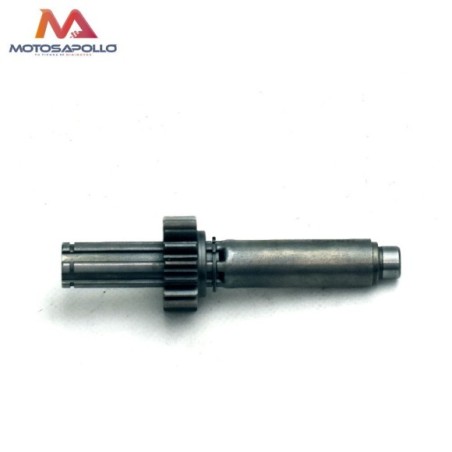 Kit piñon caja de cambio automático motocross-Roanracing.com