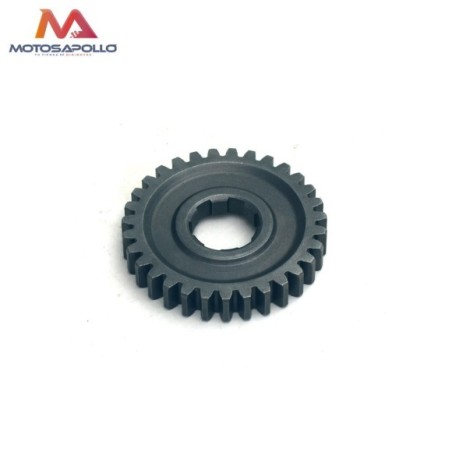 Piñon caja de cambio 31T 20mm pit bike-Roanracing.com