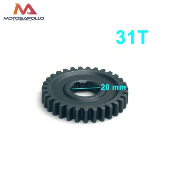 Piñon caja de cambio 31T 20mm pit bike-Roanracing.com