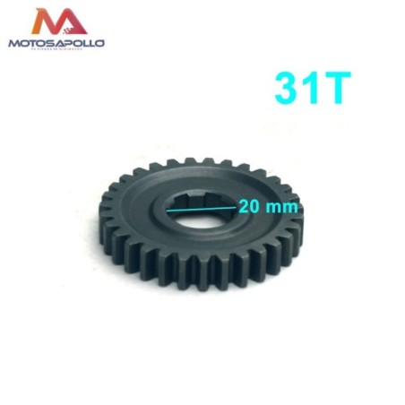 Piñon caja de cambio 31T 20mm pit bike-Roanracing.com