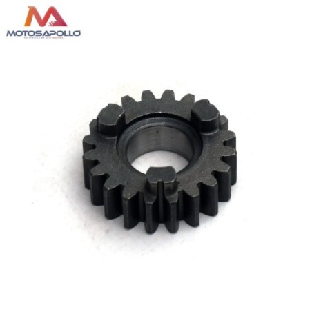 Piñon caja cambio 20T 17mm motocross - Roanracing.com