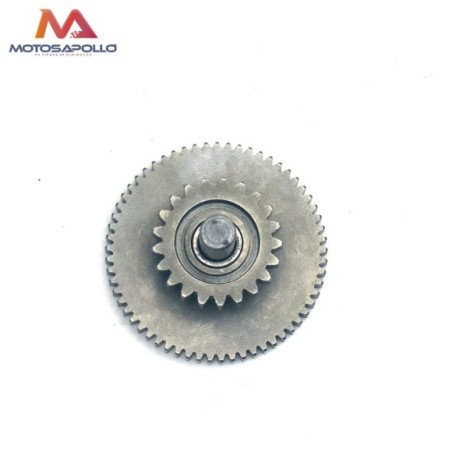 Piñon engranaje intermedio 250cc pit bike - Roanracing.com