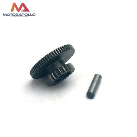 Piñon engranaje intermedio 250cc pit bike - Roanracing.com
