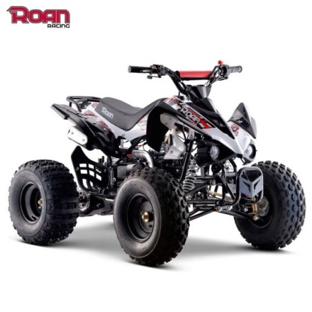 Kit de plástico quad pantera  - Roanracing.com