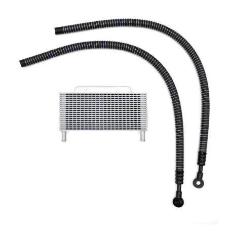 Radiador de aceite pit bike XL - Roanracing.com