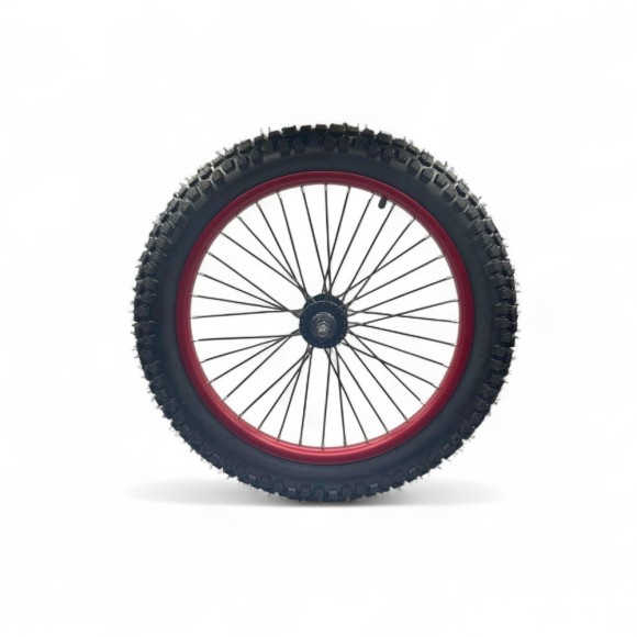 rueda completa Bici EVO 2.5-20" - Roanracing.com