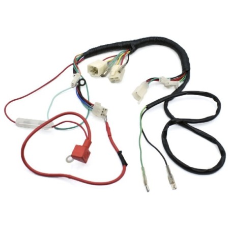 Cableado eléctrico pit bike 90cc auto - Roanracing.com