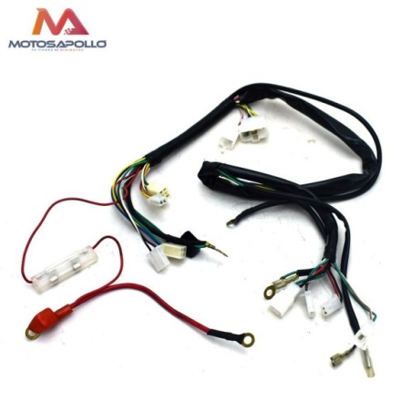 Cableado eléctrico pit bike 250 - Roanracing.com