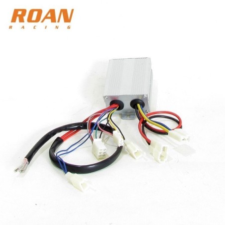 Centralita 200W 250W 24V 10+6pin - Roanracing.com