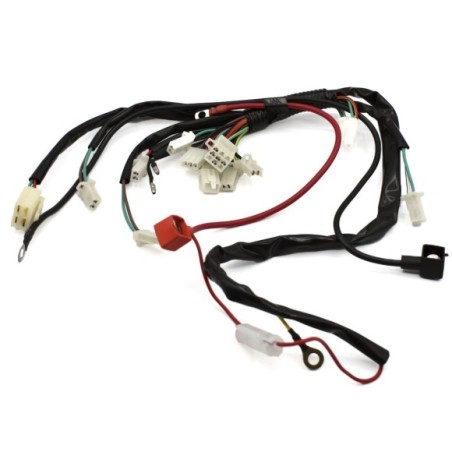 Cableado eléctrico mini quad 2T - Roanracing.com