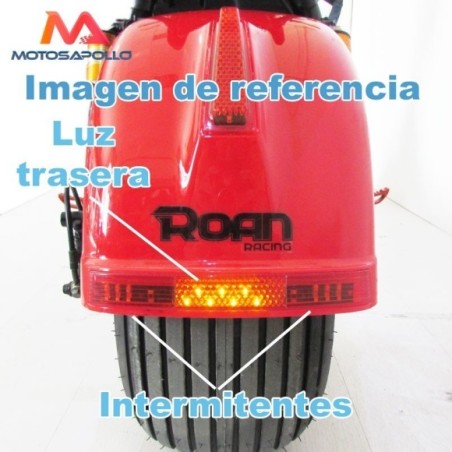 Luz trasera con intermitentes chopper Roanracing.com.com
