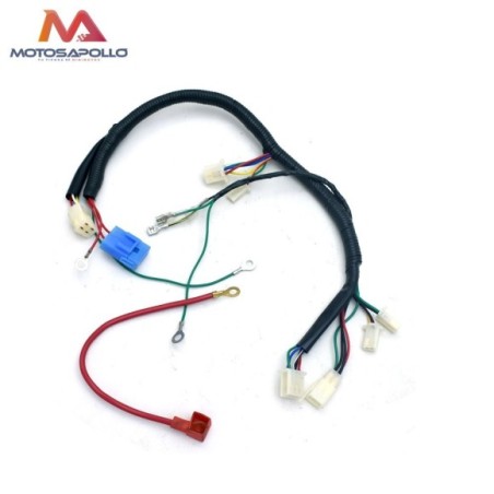 Cableado eléctrico pit bike - Roanracing.com