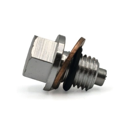 Tornillo vaciado de aceite CNC imantado - 1