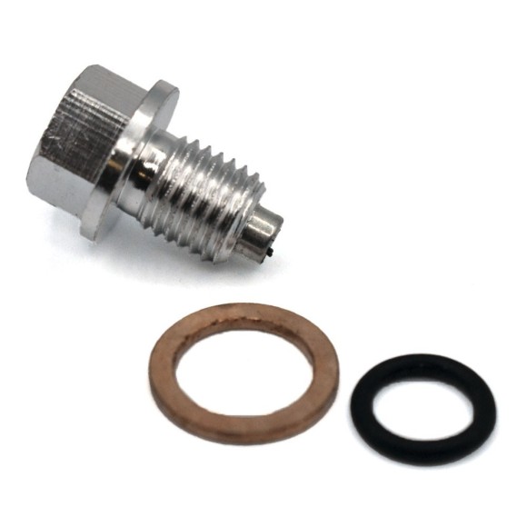 Tornillo vaciado de aceite CNC imantado - 2