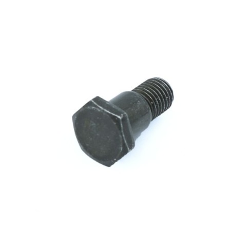 Tornillo pata cabra 10mm - Roanracing.com